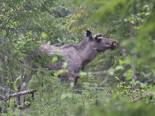 nasza oferta - zdjęcie 4