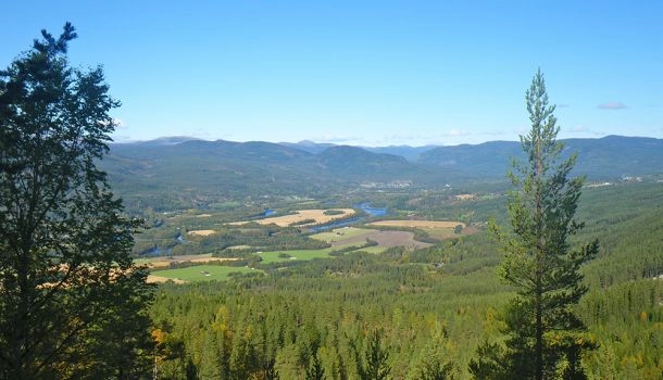 nasza oferta - zdjęcie 1