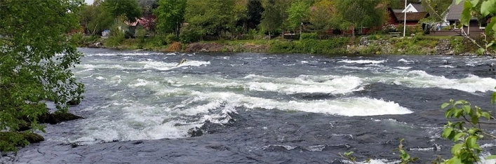 nasza oferta - zdjęcie 19