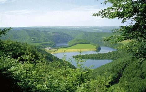 nasza oferta - zdjęcie 6