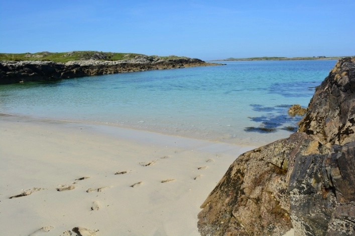 nasza oferta - zdjęcie 11