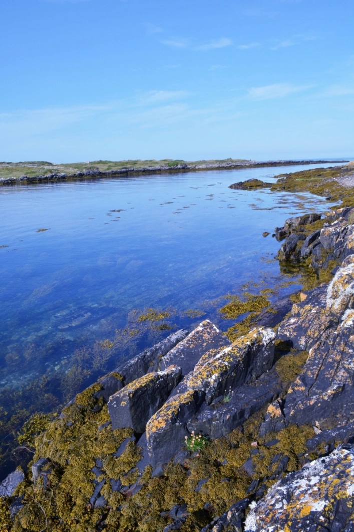 Clifden Eco Beach Camping & Caravanning Park - zdjęcie 1