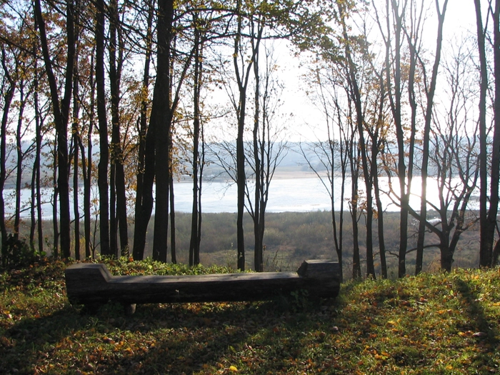 nasza oferta - zdjęcie 6