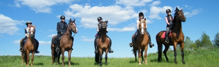 nasza oferta - zdjęcie 5