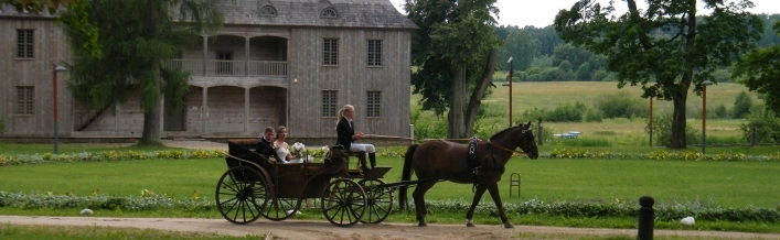 nasza oferta - zdjęcie 4