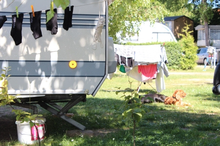 nasza oferta - zdjęcie 16