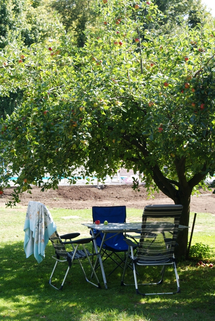 CAMPING SOKOL PRAHA - zdjęcie 4