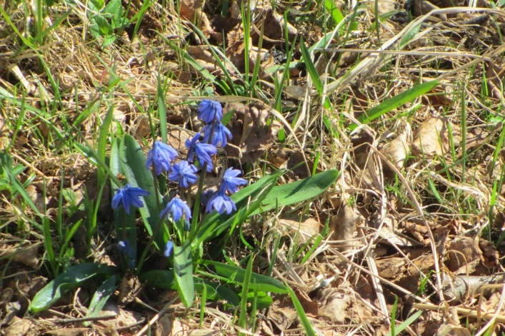 Lepispea Caravan & Camping - zdjęcie 1