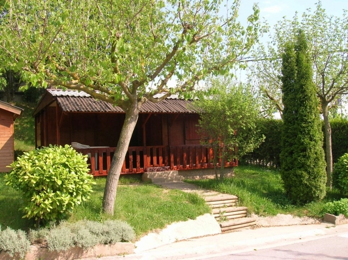 nasza oferta - zdjęcie 21