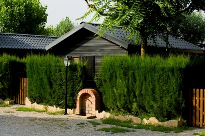 nasza oferta - zdjęcie 20