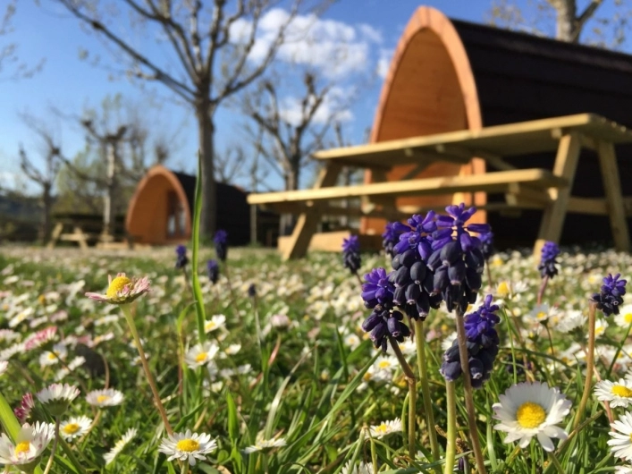 nasza oferta - zdjęcie 6