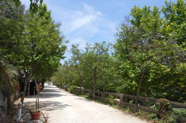 nasza oferta - zdjęcie 4