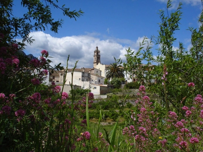 nasza oferta - zdjęcie 3