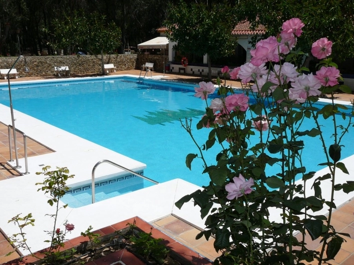 nasza oferta - zdjęcie 13