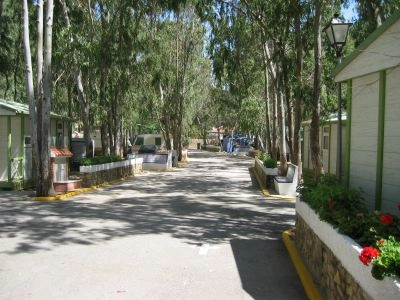 Camping los Eucaliptos - zdjęcie 4