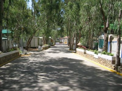 Camping los Eucaliptos - zdjęcie 3