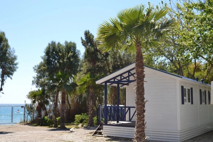 nasza oferta - zdjęcie 10