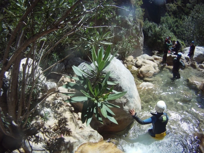 nasza oferta - zdjęcie 8