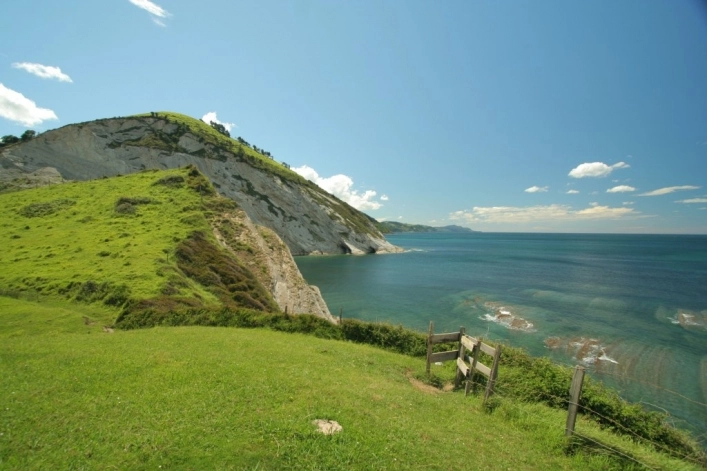 nasza oferta - zdjęcie 15