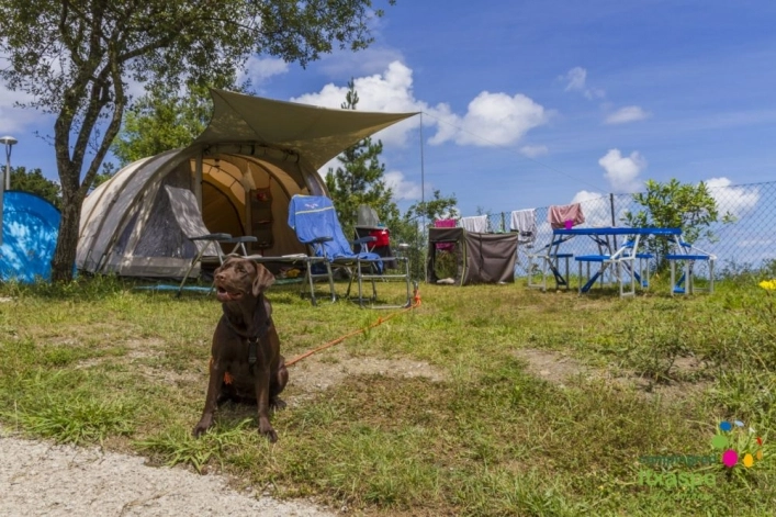 Camping & Bungalows ITXASPE - zdjęcie 4