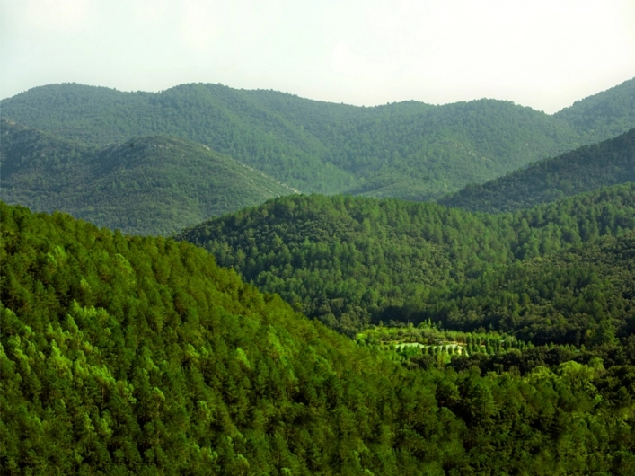 nasza oferta - zdjęcie 7