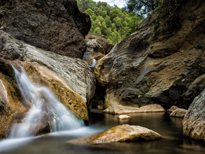 Camping Bassegoda Park - zdjęcie 3
