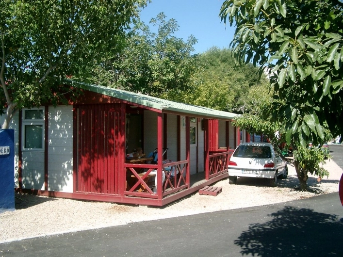 nasza oferta - zdjęcie 11