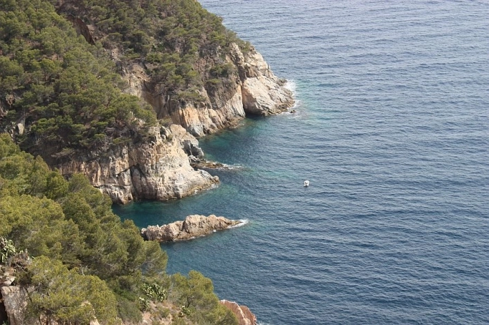 nasza oferta - zdjęcie 6