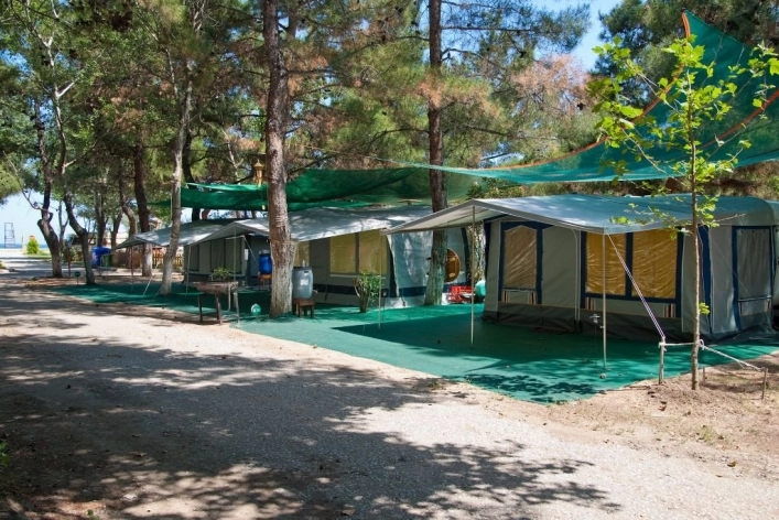 nasza oferta - zdjęcie 28