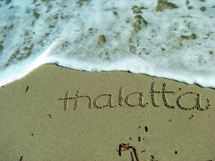 nasza oferta - zdjęcie 20