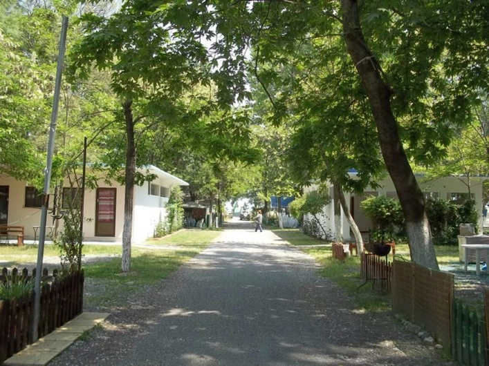 nasza oferta - zdjęcie 2