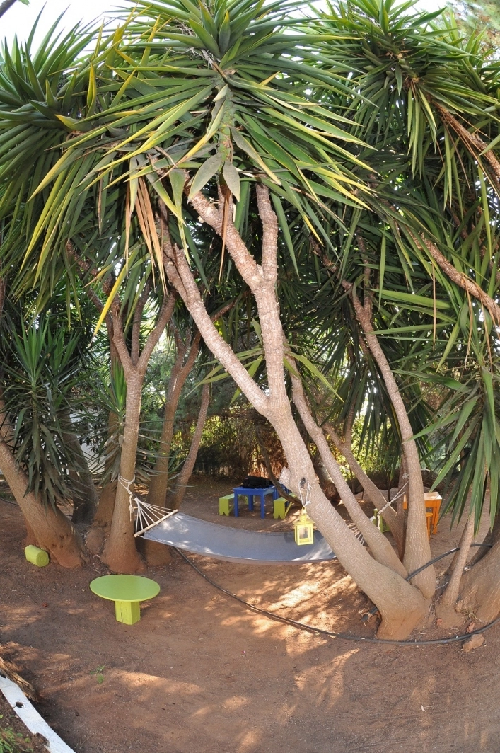 nasza oferta - zdjęcie 20