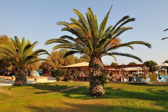 camping Proti Messinia Peloponnese Greece - zdjęcie 4