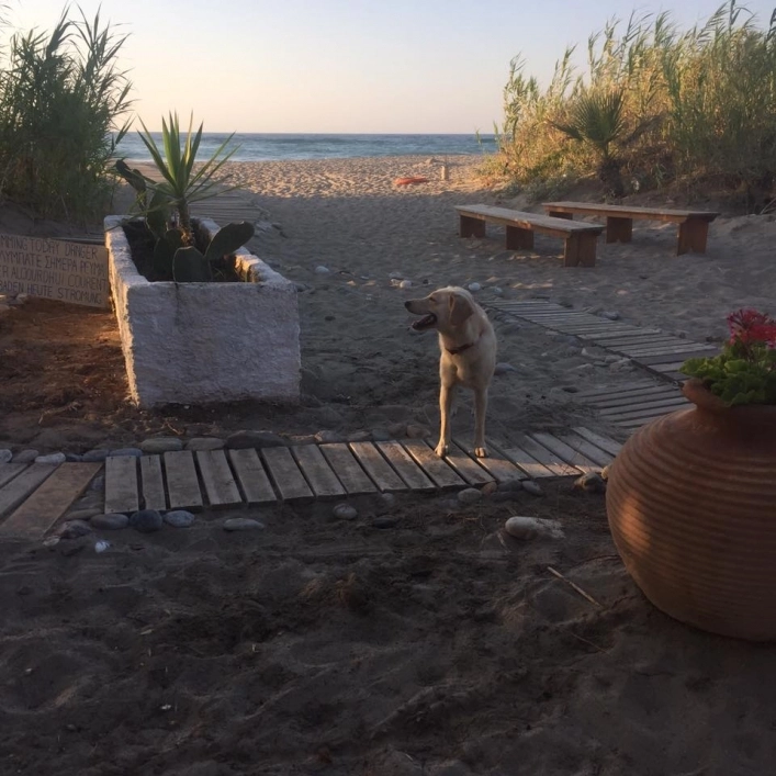 zobacz camping - zdjęcie 7