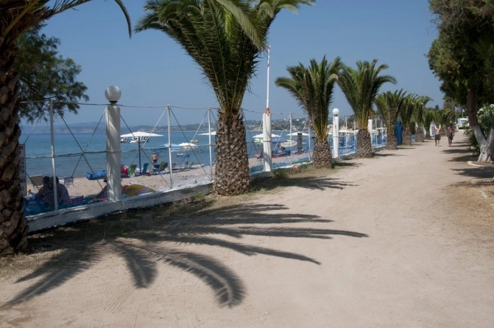 Loutsa camping - zdjęcie 1