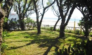 nasza oferta - zdjęcie 12