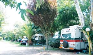 nasza oferta - zdjęcie 7