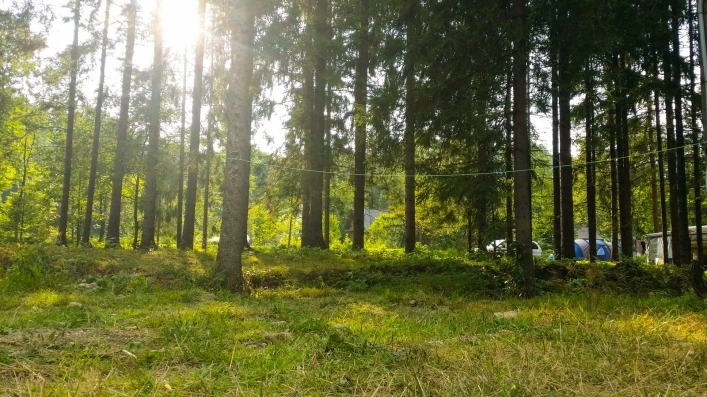 Galeria - zdjęcie 15