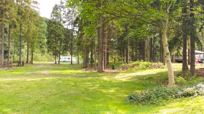 Galeria - zdjęcie 12