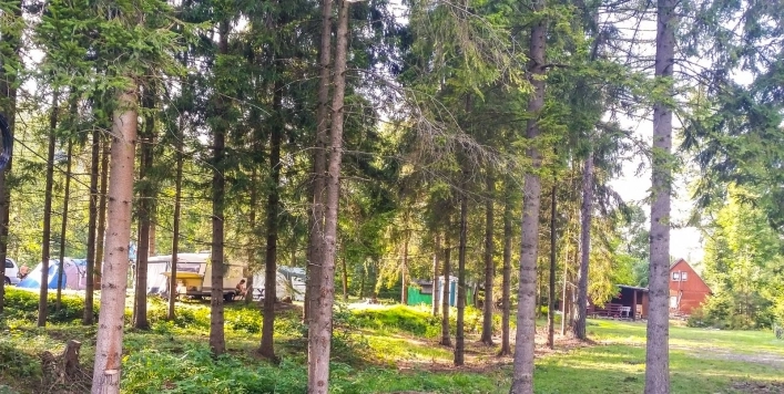 Galeria - zdjęcie 11