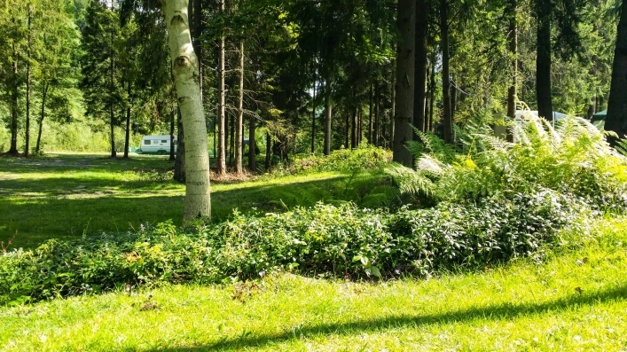 Galeria - zdjęcie 10