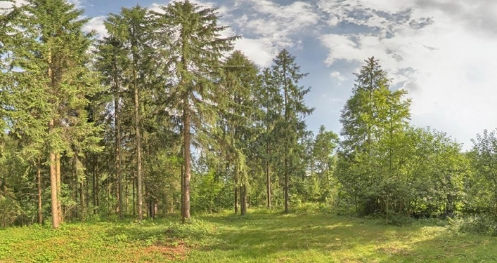 Galeria - zdjęcie 8