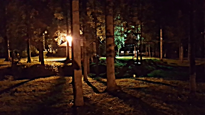 Galeria - zdjęcie 18