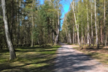 Miejscówka 458 - Mikoszewo parking leśny - zdjęcie 0