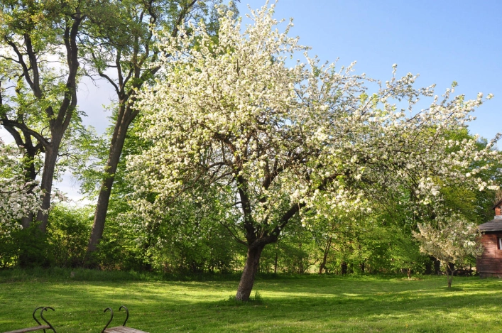 Galeria zdjęć - zdjęcie 1