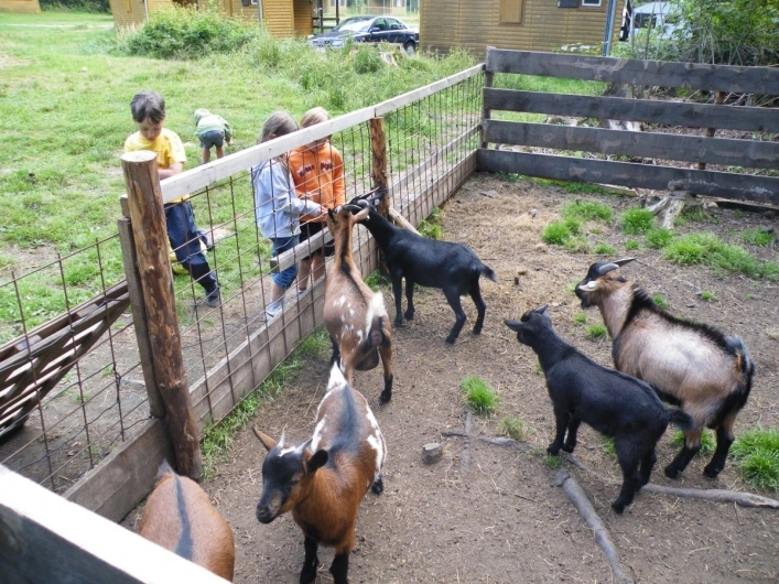 ATC Vesely Habr - zdjęcie 2