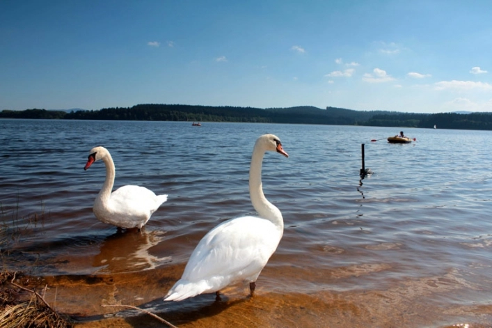 zobacz camping - zdjęcie 18