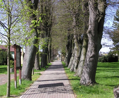 Autocamp Milovice u Hořic - zdjęcie 3