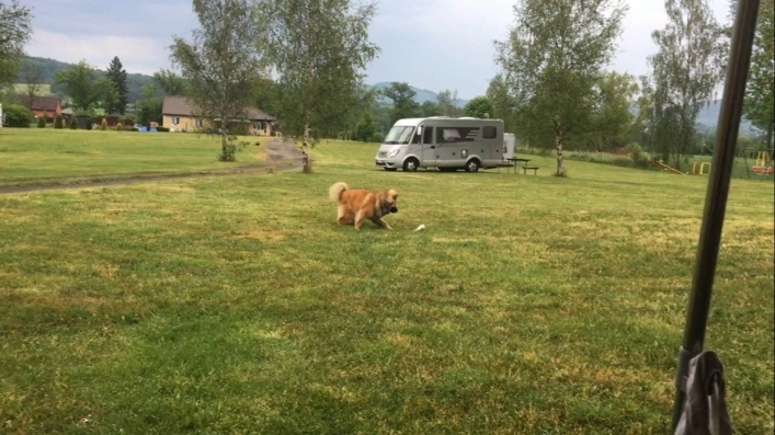 zobacz camping - zdjęcie 4