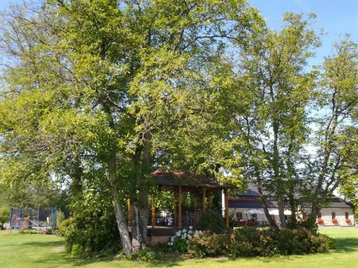 zobacz camping - zdjęcie 12